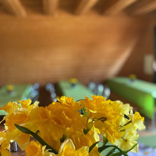 Zdjęcie WhatsApp 2025-03-21 o 21.34.13_697e6821