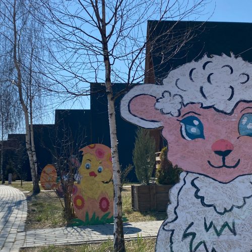 Zdjęcie WhatsApp 2025-03-21 o 21.34.25_0097794b